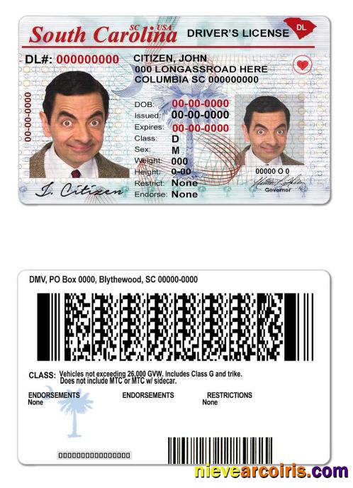 USA South Carolina state driving license